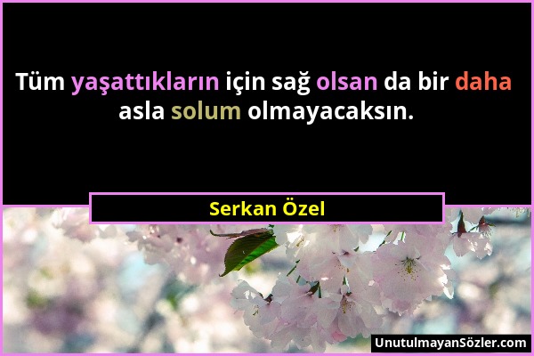 Serkan Özel - Tüm yaşattıkların için sağ olsan da bir daha asla solum olmayacaksın....