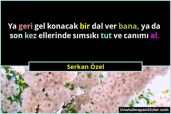 Serkan Özel - Ya geri gel konacak bir dal ver bana, ya da son kez ellerinde sımsıkı tut ve canımı al....