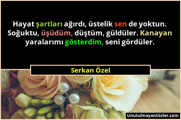 Serkan Özel - Hayat şartları ağırdı, üstelik sen de yoktun. Soğuktu, üşüdüm, düştüm, güldüler. Kanayan yaralarımı gösterdim, seni gördüler....