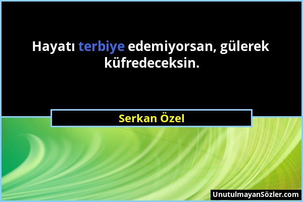 Serkan Özel - Hayatı terbiye edemiyorsan, gülerek küfredeceksin....