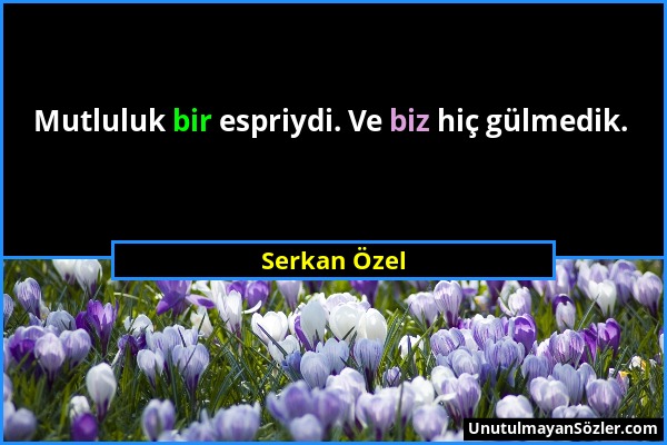 Serkan Özel - Mutluluk bir espriydi. Ve biz hiç gülmedik....