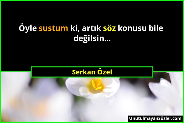 Serkan Özel - Öyle sustum ki, artık söz konusu bile değilsin......