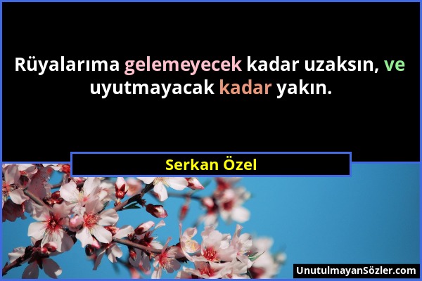 Serkan Özel - Rüyalarıma gelemeyecek kadar uzaksın, ve uyutmayacak kadar yakın....