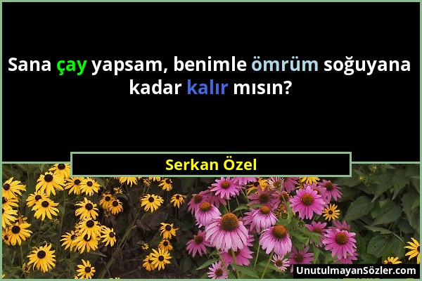 Serkan Özel - Sana çay yapsam, benimle ömrüm soğuyana kadar kalır mısın?...