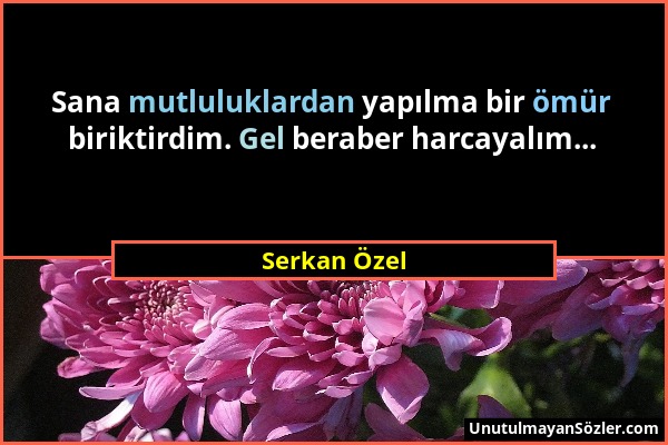 Serkan Özel - Sana mutluluklardan yapılma bir ömür biriktirdim. Gel beraber harcayalım......