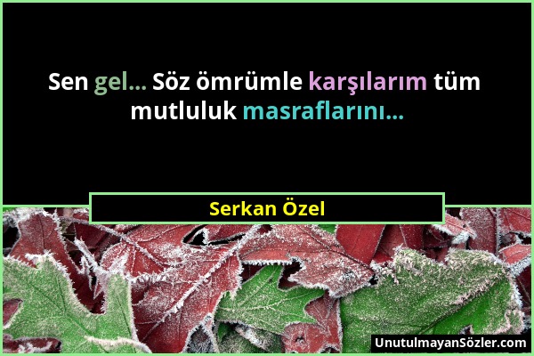 Serkan Özel - Sen gel... Söz ömrümle karşılarım tüm mutluluk masraflarını......