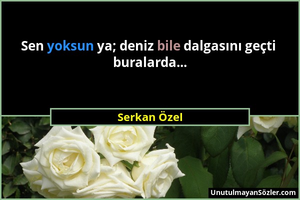 Serkan Özel - Sen yoksun ya; deniz bile dalgasını geçti buralarda......