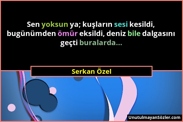 Serkan Özel - Sen yoksun ya; kuşların sesi kesildi, bugünümden ömür eksildi, deniz bile dalgasını geçti buralarda......