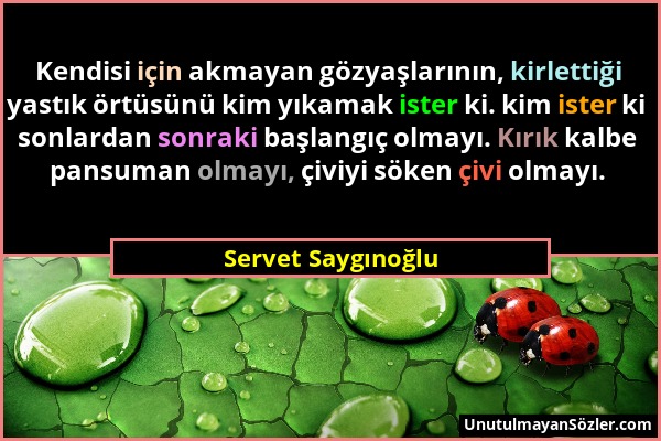 Servet Saygınoğlu - Kendisi için akmayan gözyaşlarının, kirlettiği yastık örtüsünü kim yıkamak ister ki. kim ister ki sonlardan sonraki başlangıç olma...