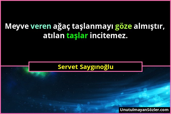 Servet Saygınoğlu - Meyve veren ağaç taşlanmayı göze almıştır, atılan taşlar incitemez....