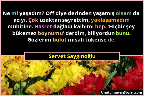 Servet Saygınoğlu - Ne mi yaşadım? Off diye derinden yaşamış olsam da acıyı. Çok uzaktan seyrettim, yaklaşamadım muhitine. Hasret dağladı kalbimi hep....