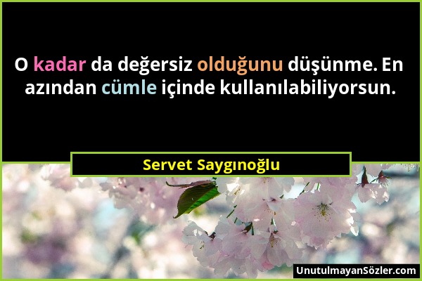 Servet Saygınoğlu - O kadar da değersiz olduğunu düşünme. En azından cümle içinde kullanılabiliyorsun....