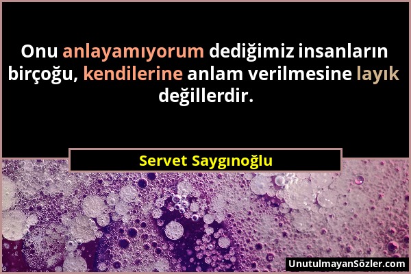 Servet Saygınoğlu - Onu anlayamıyorum dediğimiz insanların birçoğu, kendilerine anlam verilmesine layık değillerdir....