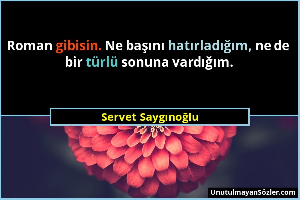 Servet Saygınoğlu - Roman gibisin. Ne başını hatırladığım, ne de bir türlü sonuna vardığım....