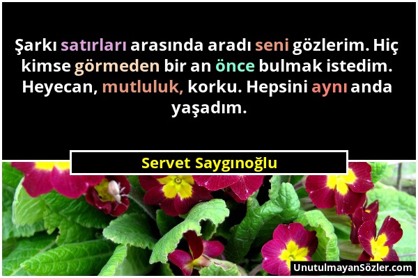 Servet Saygınoğlu - Şarkı satırları arasında aradı seni gözlerim. Hiç kimse görmeden bir an önce bulmak istedim. Heyecan, mutluluk, korku. Hepsini ayn...