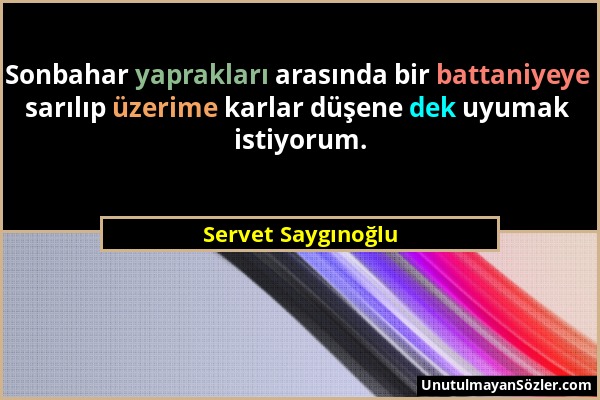 Servet Saygınoğlu - Sonbahar yaprakları arasında bir battaniyeye sarılıp üzerime karlar düşene dek uyumak istiyorum....