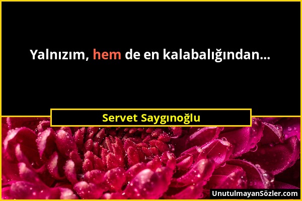 Servet Saygınoğlu - Yalnızım, hem de en kalabalığından......