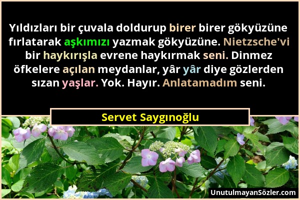 Servet Saygınoğlu - Yıldızları bir çuvala doldurup birer birer gökyüzüne fırlatarak aşkımızı yazmak gökyüzüne. Nietzsche'vi bir haykırışla evrene hayk...