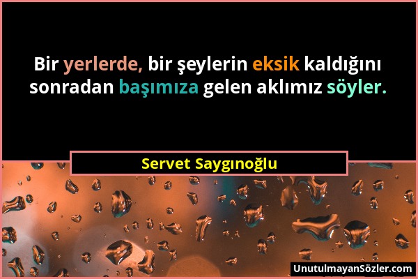 Servet Saygınoğlu - Bir yerlerde, bir şeylerin eksik kaldığını sonradan başımıza gelen aklımız söyler....