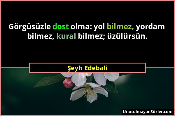 Şeyh Edebali - Görgüsüzle dost olma: yol bilmez, yordam bilmez, kural bilmez; üzülürsün....