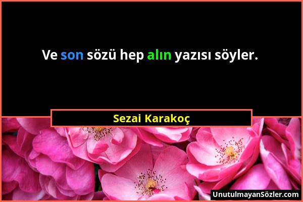 Sezai Karakoç - Ve son sözü hep alın yazısı söyler....