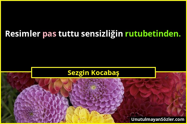 Sezgin Kocabaş - Resimler pas tuttu sensizliğin rutubetinden....