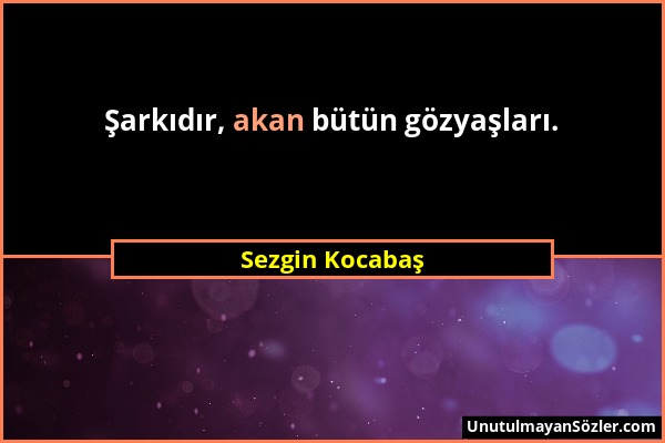 Sezgin Kocabaş - Şarkıdır, akan bütün gözyaşları....