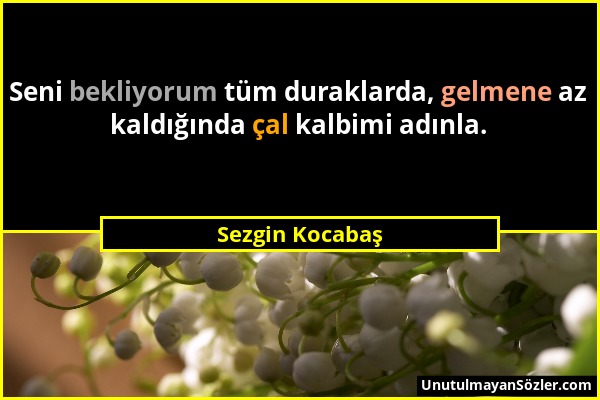 Sezgin Kocabaş - Seni bekliyorum tüm duraklarda, gelmene az kaldığında çal kalbimi adınla....