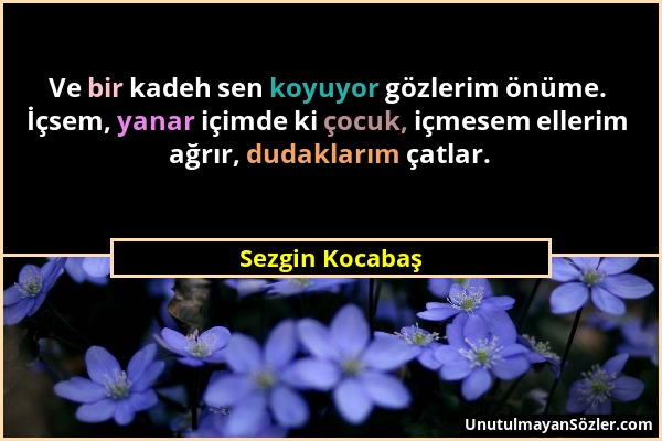 Sezgin Kocabaş - Ve bir kadeh sen koyuyor gözlerim önüme. İçsem, yanar içimde ki çocuk, içmesem ellerim ağrır, dudaklarım çatlar....