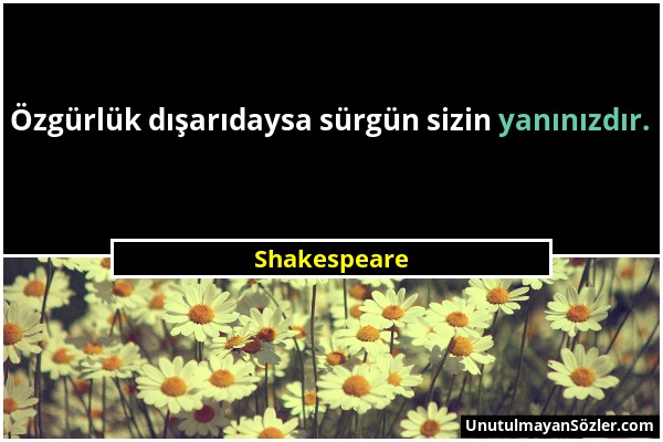 Shakespeare - Özgürlük dışarıdaysa sürgün sizin yanınızdır....