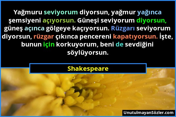 Shakespeare - Yağmuru seviyorum diyorsun, yağmur yağınca şemsiyeni açıyorsun. Güneşi seviyorum diyorsun, güneş açınca gölgeye kaçıyorsun. Rüzgarı sevi...