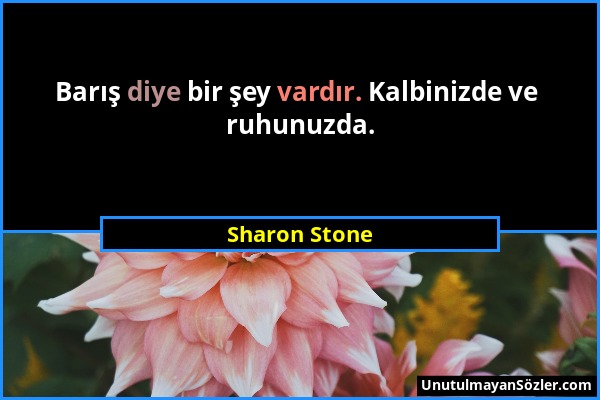 Sharon Stone - Barış diye bir şey vardır. Kalbinizde ve ruhunuzda....