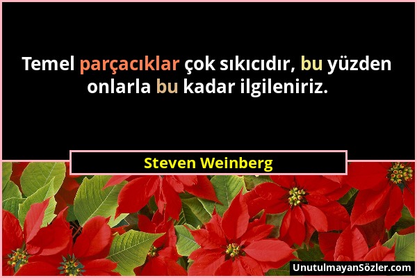 Steven Weinberg - Temel parçacıklar çok sıkıcıdır, bu yüzden onlarla bu kadar ilgileniriz....