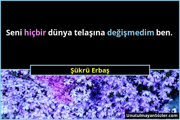 Şükrü Erbaş - Seni hiçbir dünya telaşına değişmedim ben....