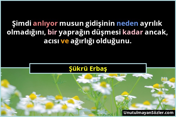 Şükrü Erbaş - Şimdi anlıyor musun gidişinin neden ayrılık olmadığını, bir yaprağın düşmesi kadar ancak, acısı ve ağırlığı olduğunu....