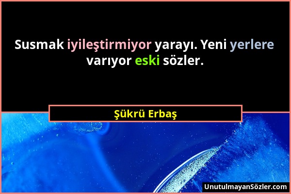 Şükrü Erbaş - Susmak iyileştirmiyor yarayı. Yeni yerlere varıyor eski sözler....