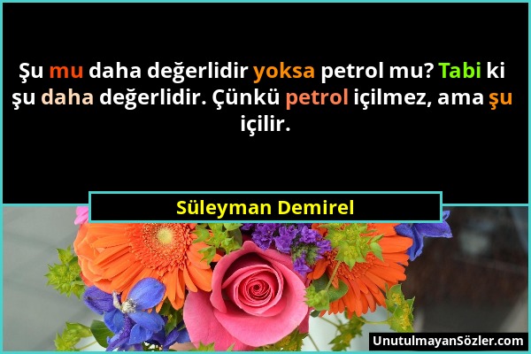 Süleyman Demirel - Şu mu daha değerlidir yoksa petrol mu? Tabi ki şu daha değerlidir. Çünkü petrol içilmez, ama şu içilir....