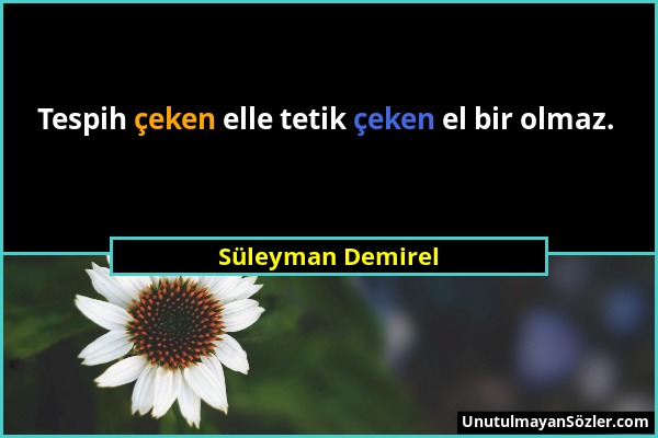 Süleyman Demirel - Tespih çeken elle tetik çeken el bir olmaz....