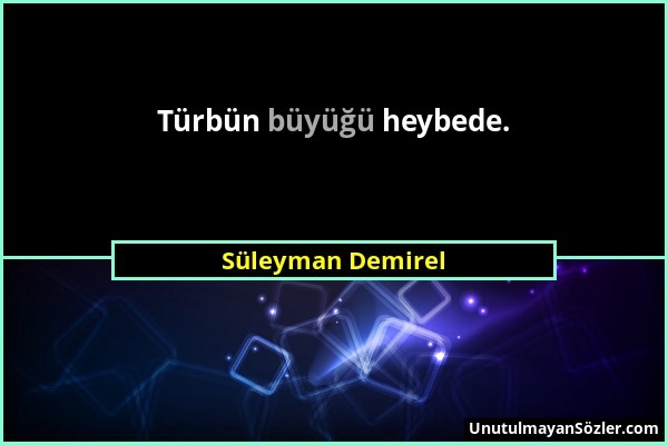 Süleyman Demirel - Türbün büyüğü heybede....