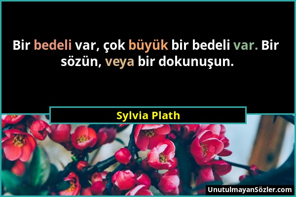 Sylvia Plath - Bir bedeli var, çok büyük bir bedeli var. Bir sözün, veya bir dokunuşun....