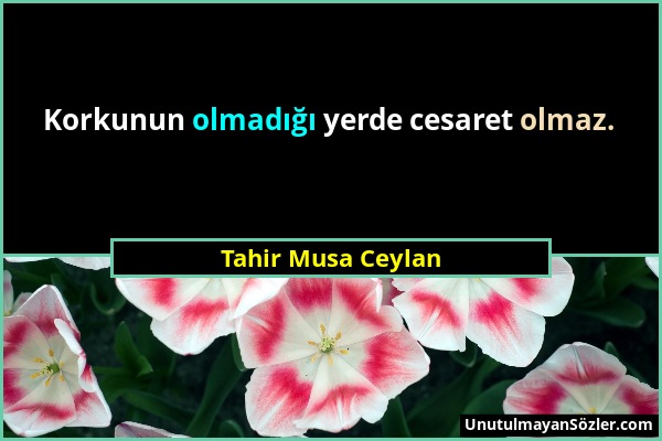 Tahir Musa Ceylan - Korkunun olmadığı yerde cesaret olmaz....