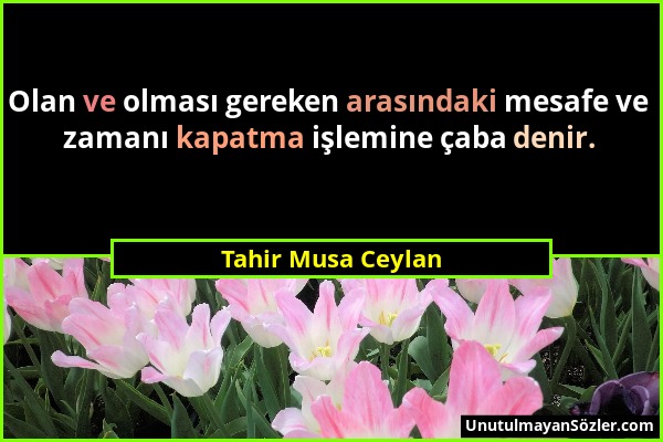 Tahir Musa Ceylan - Olan ve olması gereken arasındaki mesafe ve zamanı kapatma işlemine çaba denir....