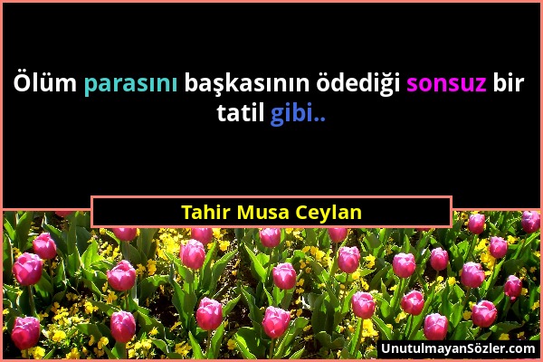 Tahir Musa Ceylan - Ölüm parasını başkasının ödediği sonsuz bir tatil gibi.....