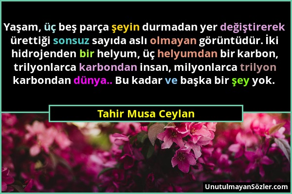 Tahir Musa Ceylan - Yaşam, üç beş parça şeyin durmadan yer değiştirerek ürettiği sonsuz sayıda aslı olmayan görüntüdür. İki hidrojenden bir helyum, üç...