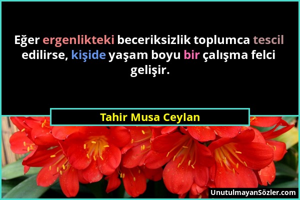 Tahir Musa Ceylan - Eğer ergenlikteki beceriksizlik toplumca tescil edilirse, kişide yaşam boyu bir çalışma felci gelişir....