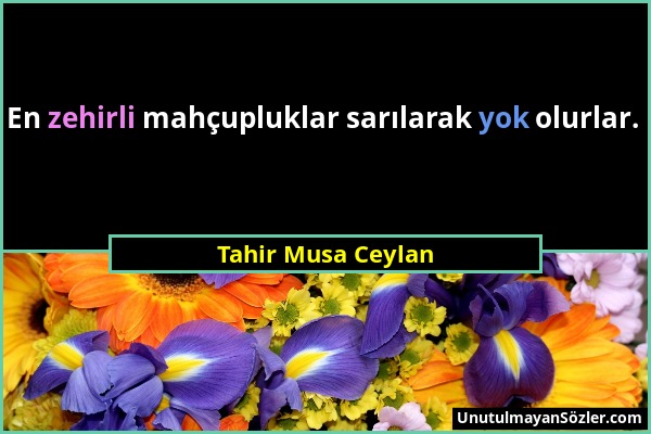 Tahir Musa Ceylan - En zehirli mahçupluklar sarılarak yok olurlar....