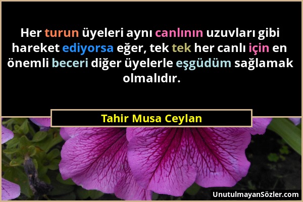 Tahir Musa Ceylan - Her turun üyeleri aynı canlının uzuvları gibi hareket ediyorsa eğer, tek tek her canlı için en önemli beceri diğer üyelerle eşgüdü...