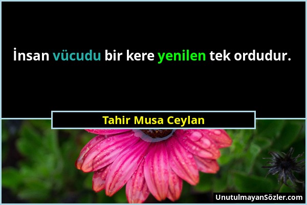 Tahir Musa Ceylan - İnsan vücudu bir kere yenilen tek ordudur....