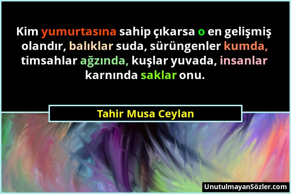 Tahir Musa Ceylan - Kim yumurtasına sahip çıkarsa o en gelişmiş olandır, balıklar suda, sürüngenler kumda, timsahlar ağzında, kuşlar yuvada, insanlar...