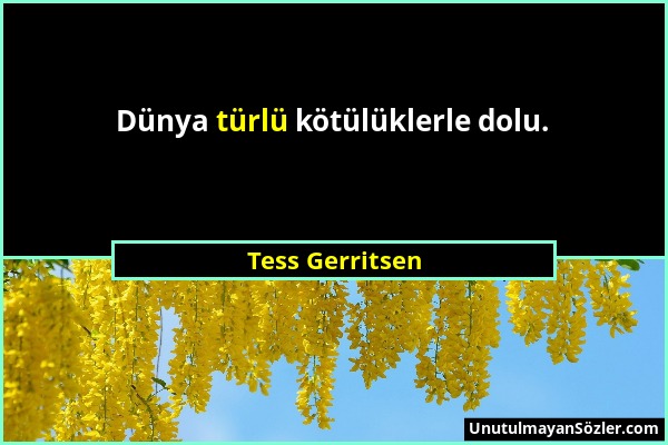 Tess Gerritsen - Dünya türlü kötülüklerle dolu....